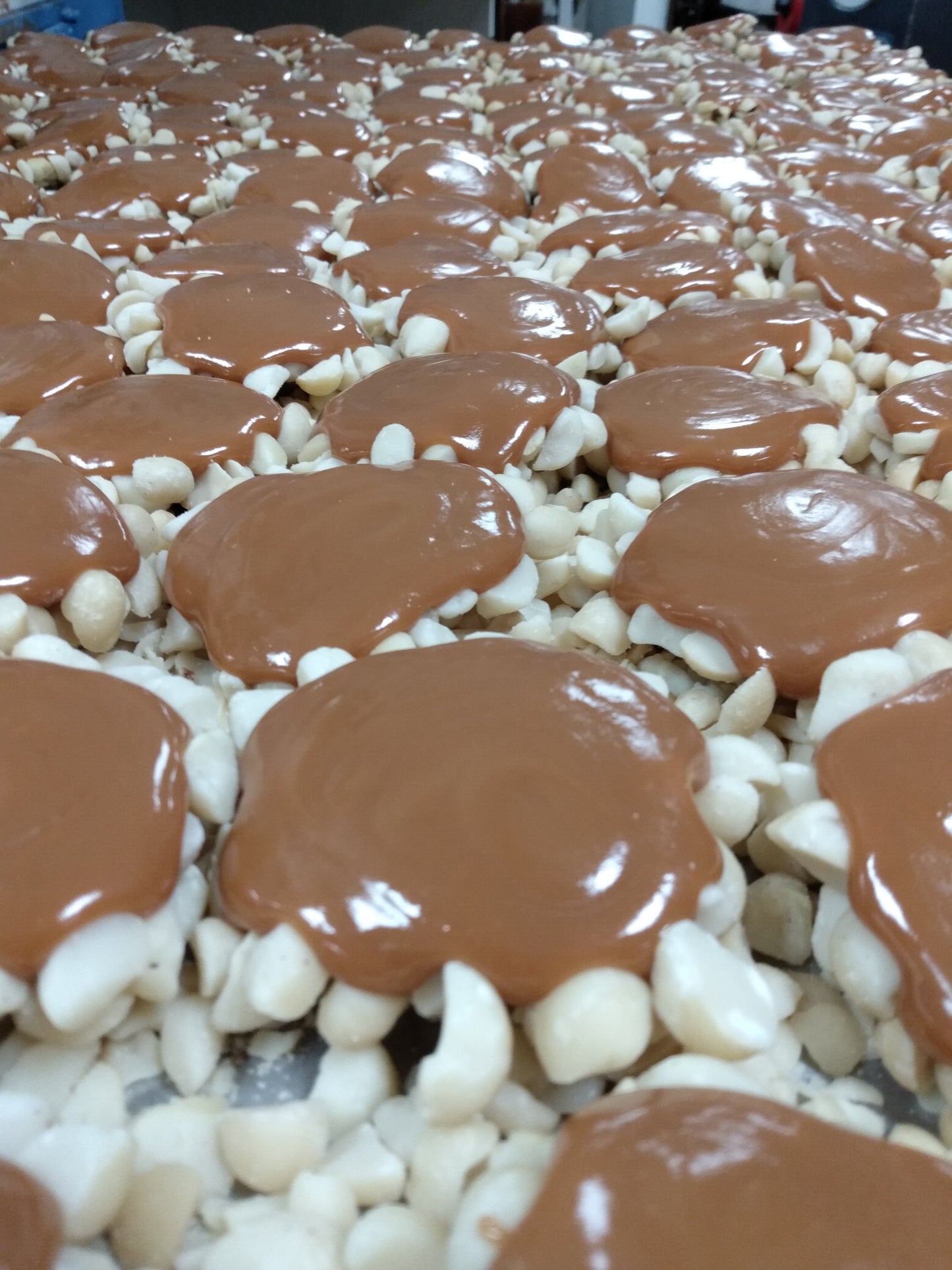 Milk Chocolate Jumbo Royale Caramel Macadamia Puddles