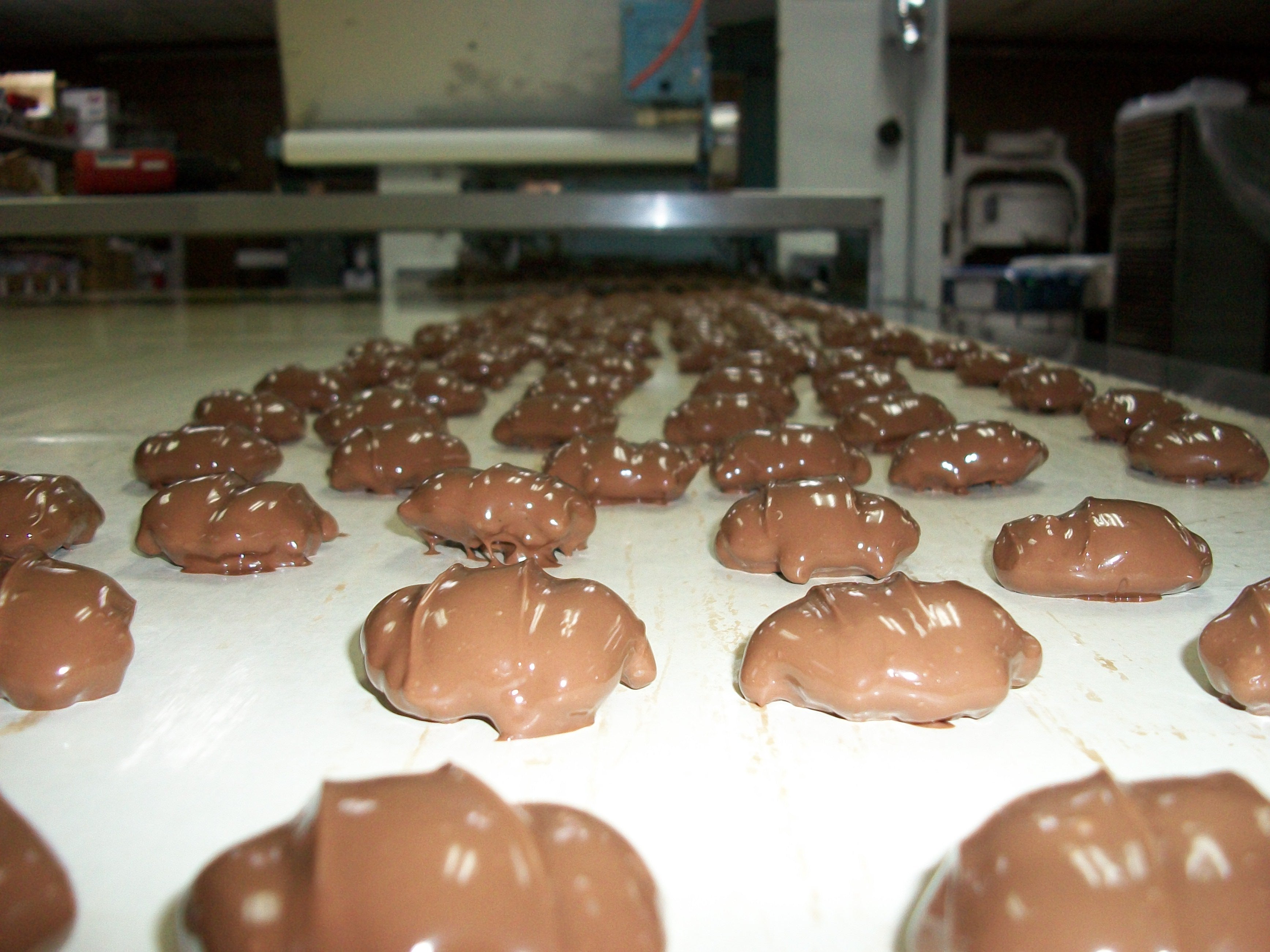 Milk Chocolate Caramel Pecan Puddles Baraboo Candy Company, LLC